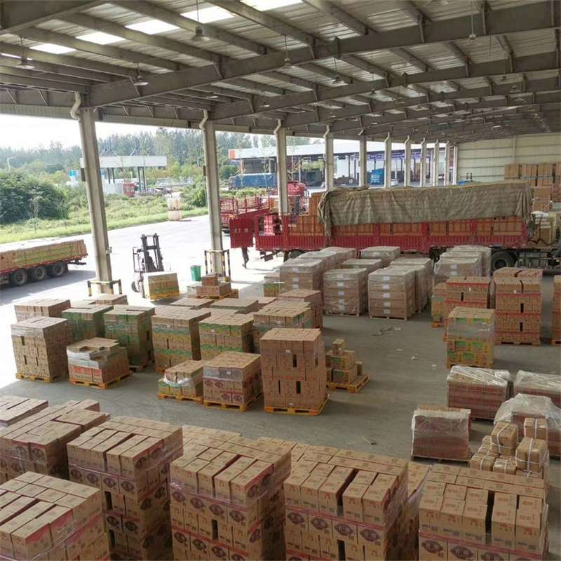 安龙县尉犁县：物流专线的高效货运之旅