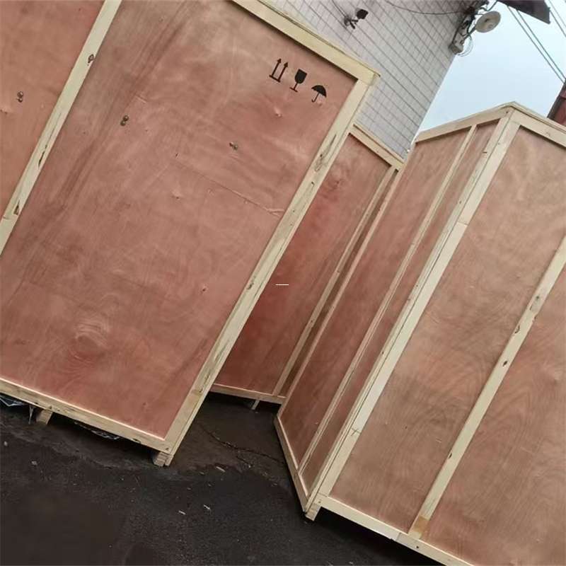 安龙县精河县：多元物流服务开启高效运输新篇