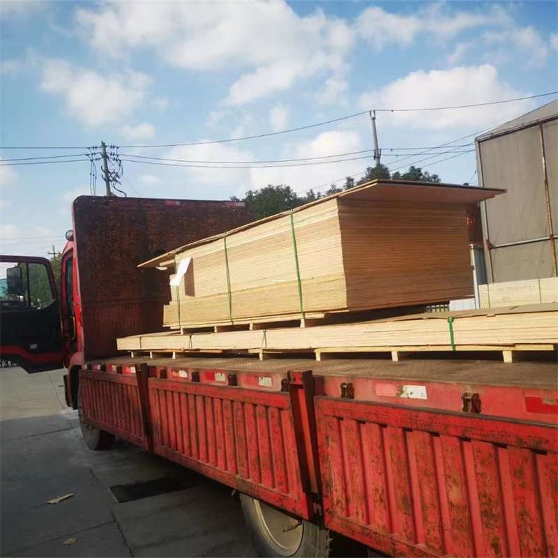 安龙县通化市物流运输：多元服务与高效线路探秘