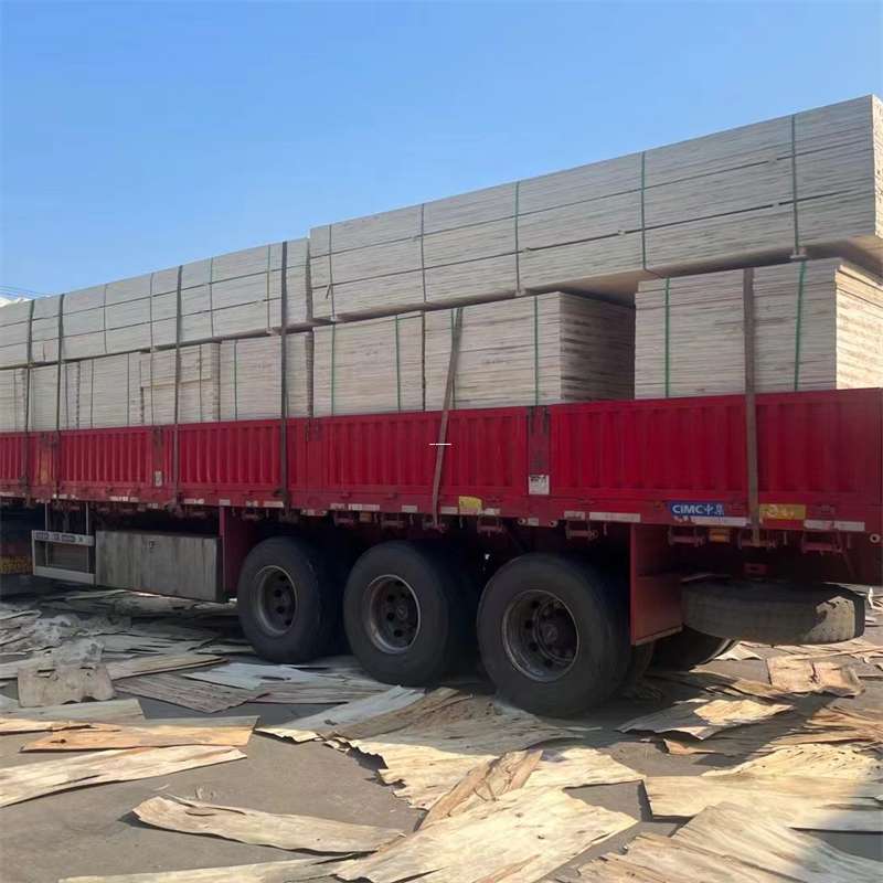 安龙县滦州市物流：多元服务与高效运输线路探秘