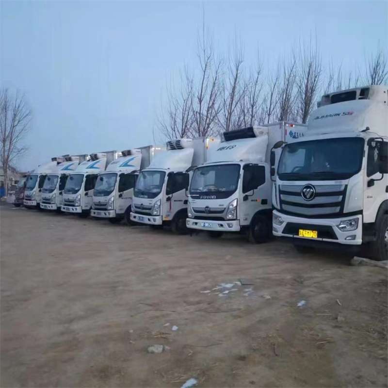 安龙县安塞区物流专线：大件货运与出口快运的多维探索