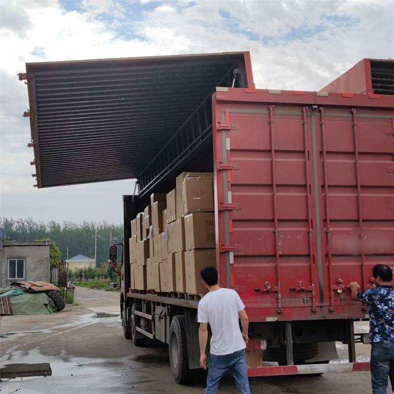 安龙县扎囊县：物流专线的高效货运之旅