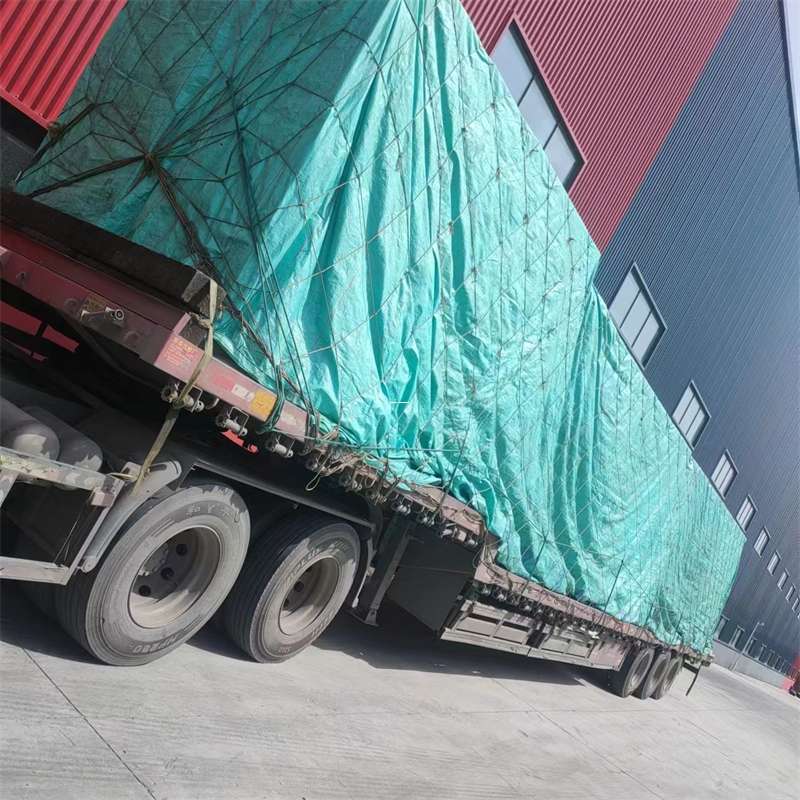 安龙县台江县进仓物流：专线直达的多元货运探索